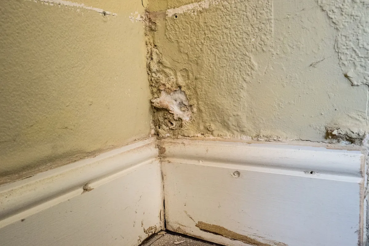 A damp tide mark along the bottom of a wall