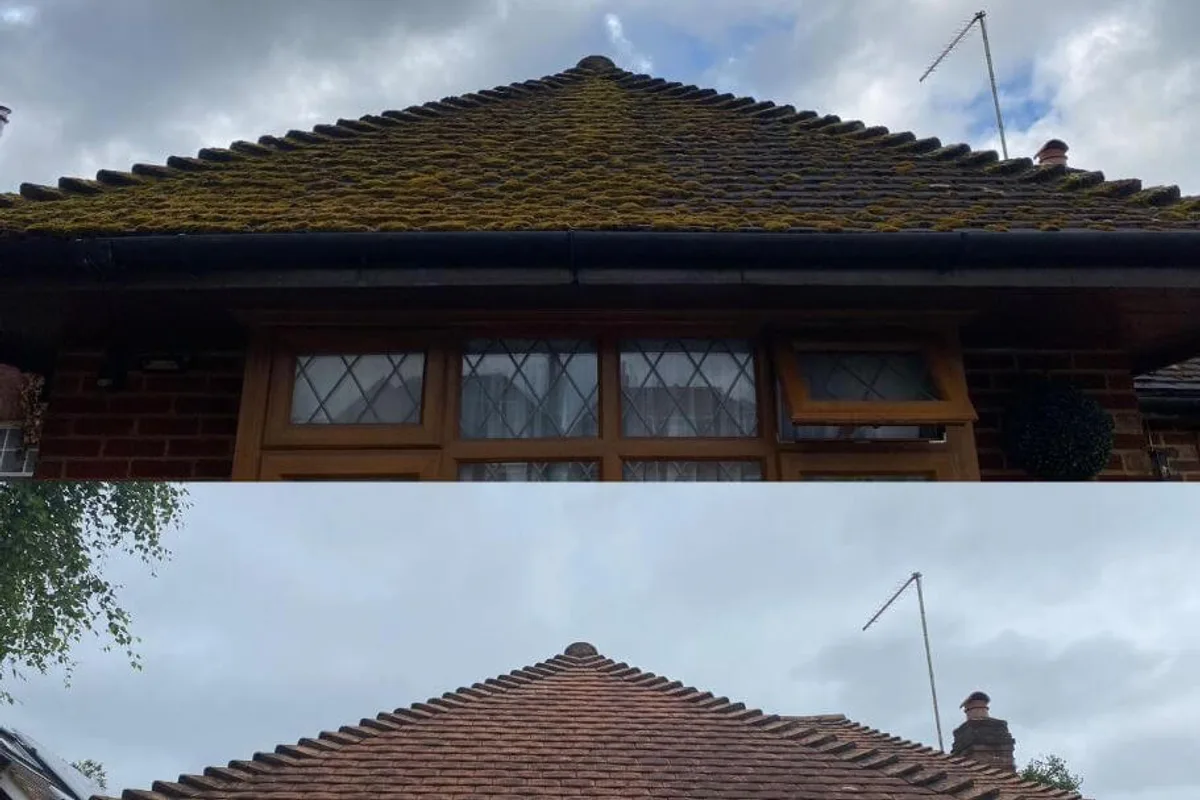 A tiled roof carrying heavy moss growth across the whole slope